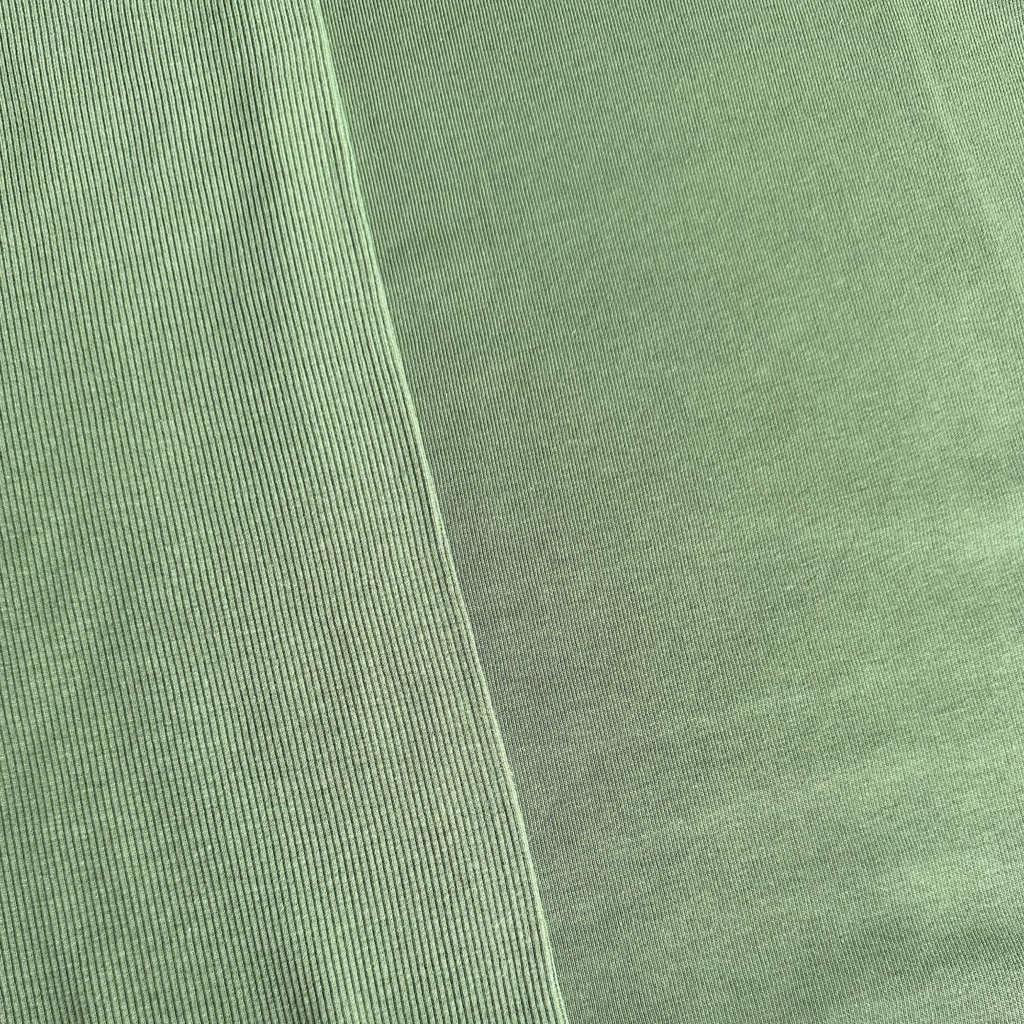 Sweatshirt Fabric in Sage