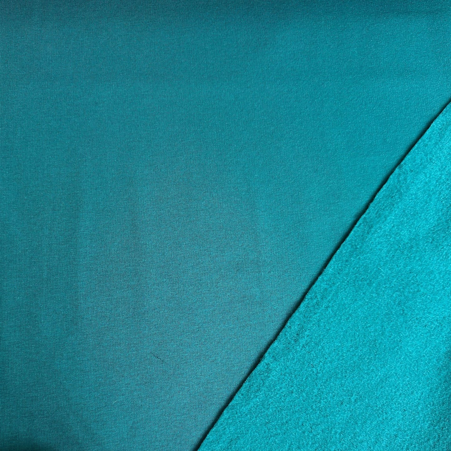 Sweatshirt Fabric in Teal