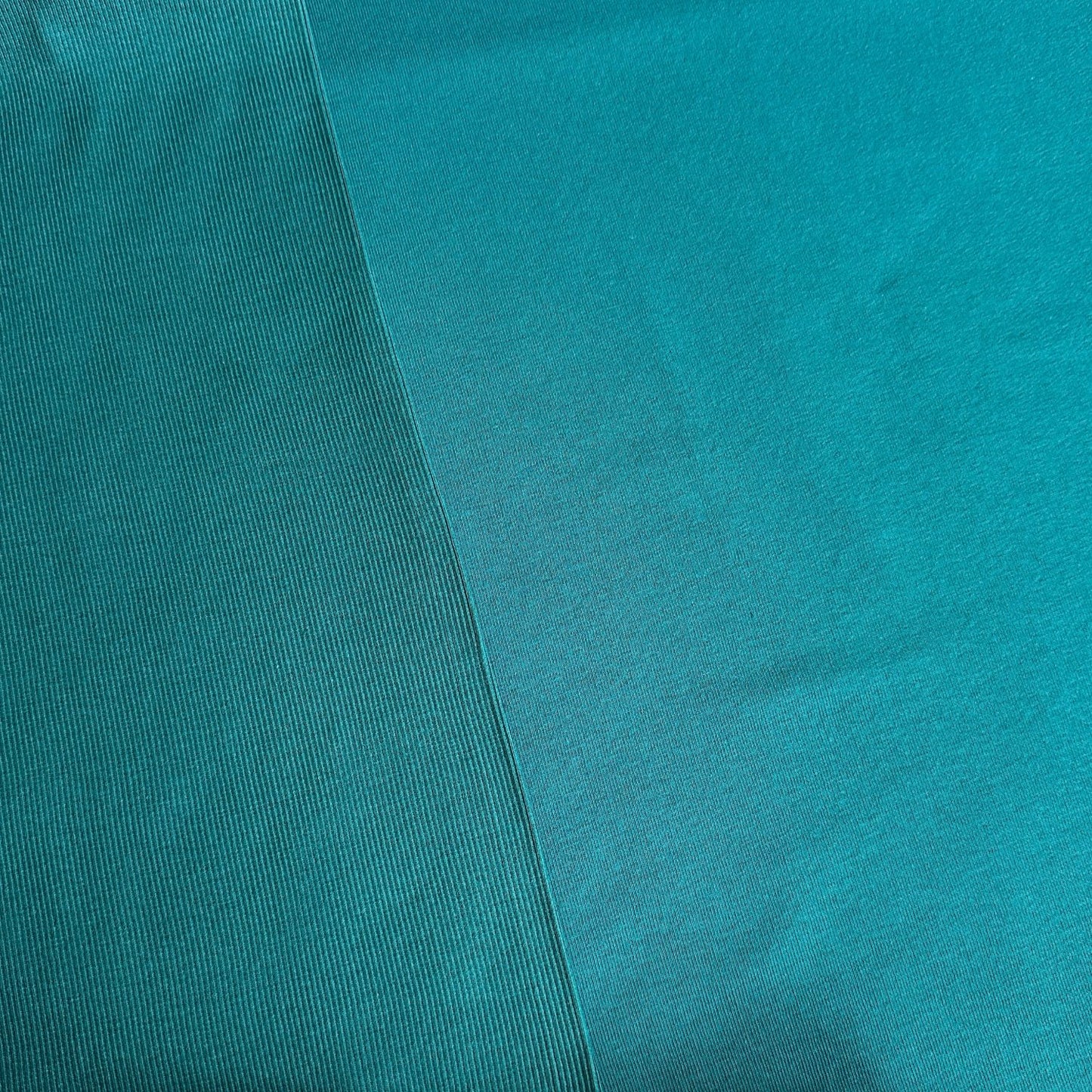 Sweatshirt Fabric in Teal