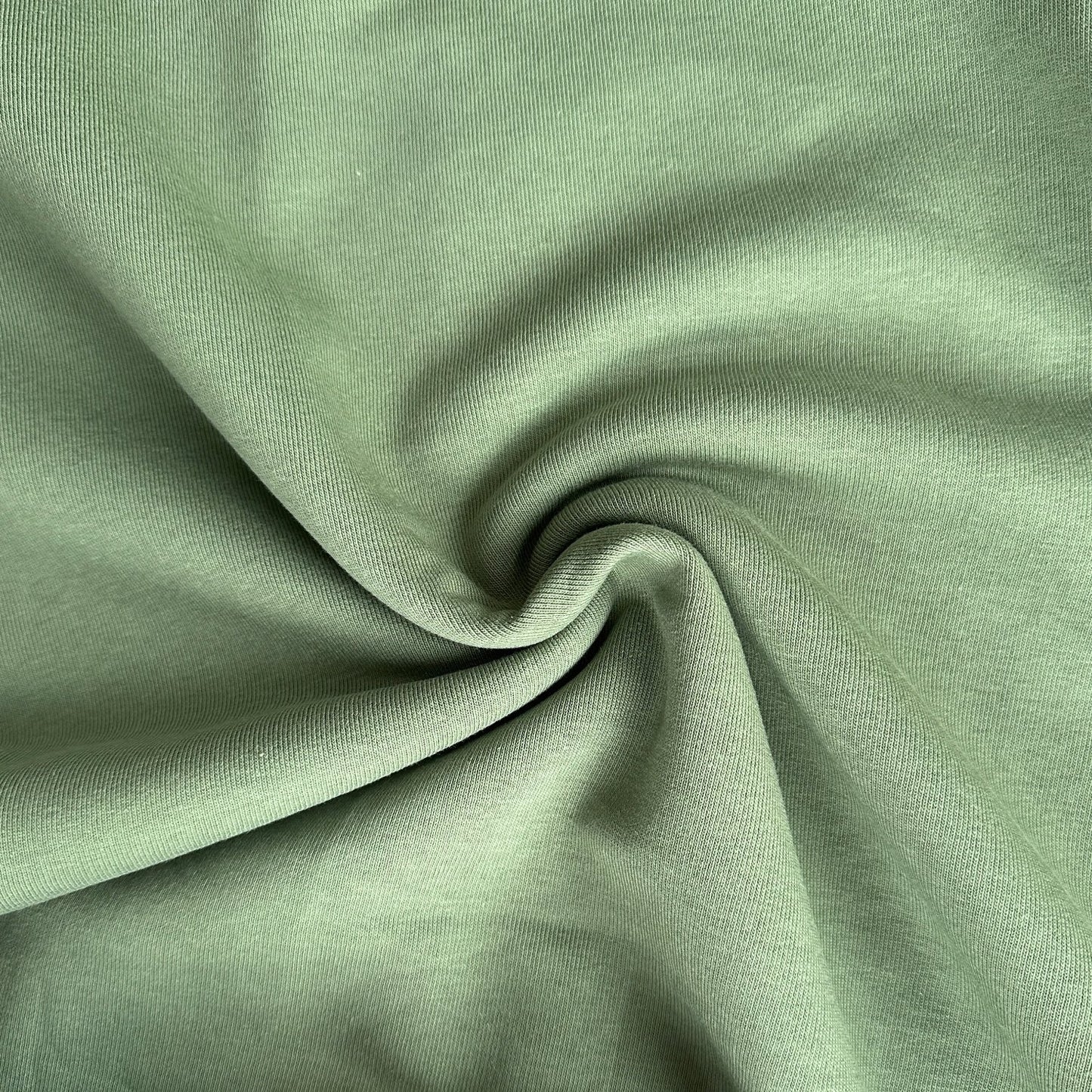 Sweatshirt Fabric in Sage