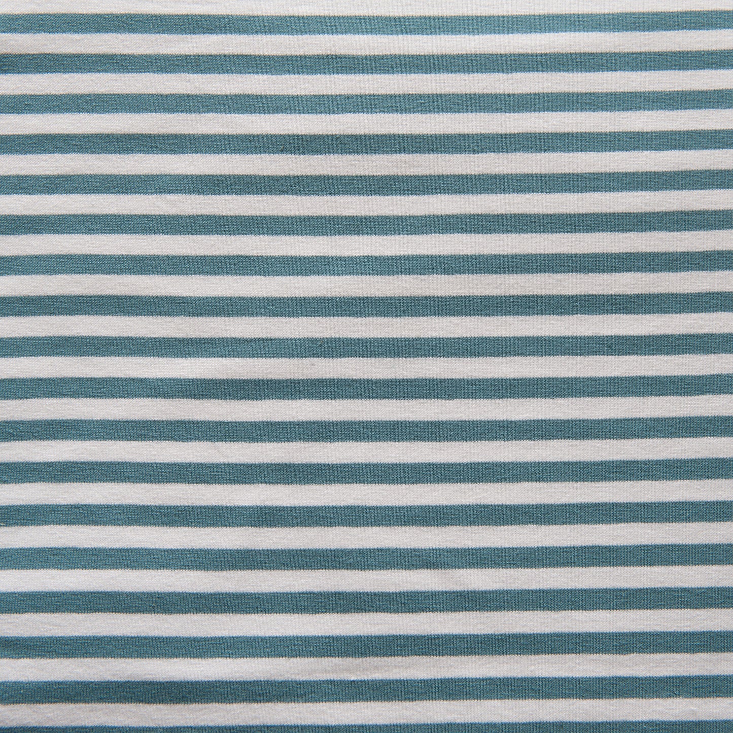 Blue and White Striped Cotton Jersey