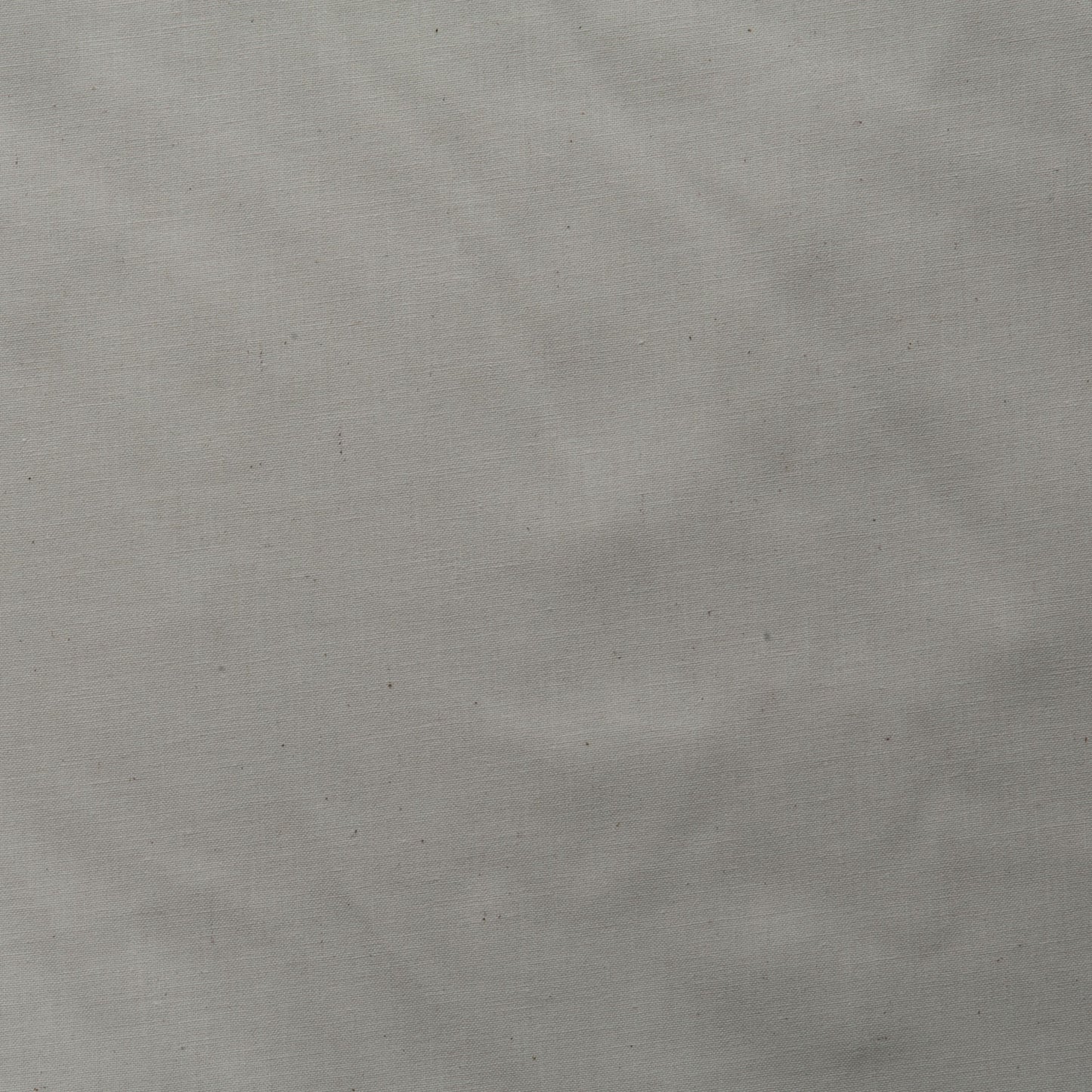 Calico