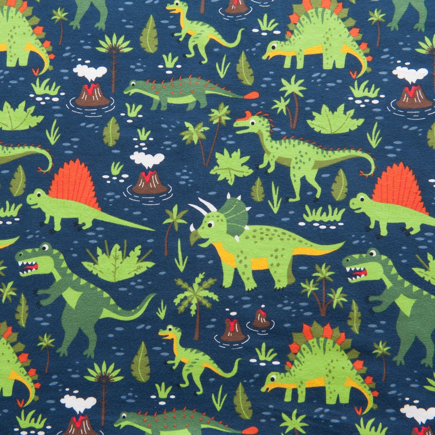 Dinosaur Cotton Jersey